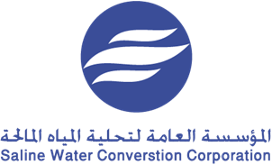 عميل 29
